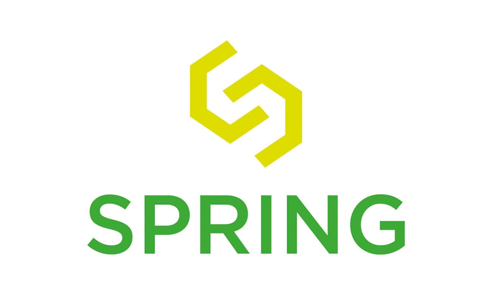 Cluster Spring